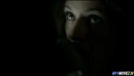 Vikings (Hindi) - Season 02 Complete